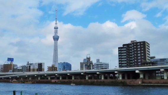 Lawatan sehari disesuaikan di Jepun Tokyo + Kuil Asakusa + WJS Ginza + kawasan bandar Shibuya [Sewaan peribadi dalam bahasa Cina dengan pengangkutan dari rumah]