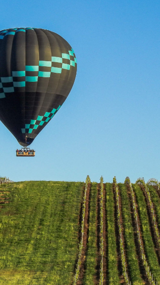 Sydney Hunter Region hot air balloon ride experience + English guide + Sydney round-trip transfer