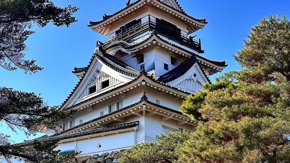 日本四國+高知城+桂濱+弘人市場包車一日遊/可訂製