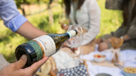 Taste with us Bardolino, Chiaretto and Lugana near Verona