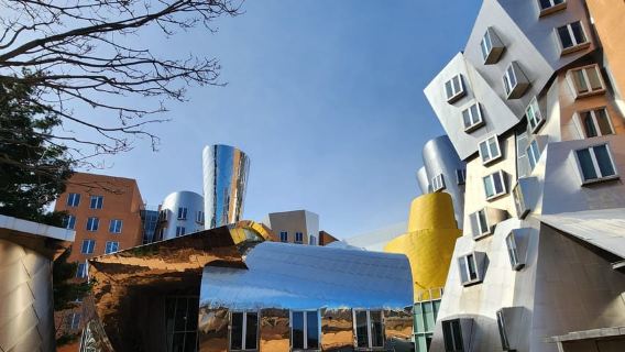 Cambridge, Massachusetts: MIT and Harvard Walking Tour