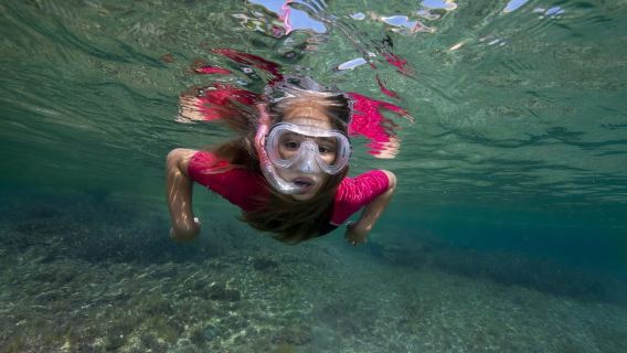 Genoa: Snorkeling just a stone's throw from the city center