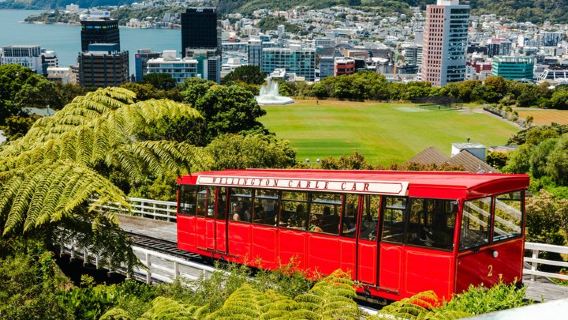 Entdecke Wellington auf dem 3-stündigen Stadtrundgang