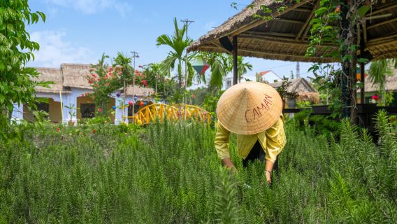 Hội Anin yrttitee ja vietnamilainen kahvipuutarhakokemus
