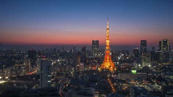 Tokyo 1-day private chartered tour | adjustable and customizable itinerary [hotel pickup and drop-off/Chinese-speaking driver]