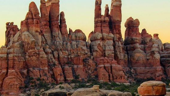 MoabTours