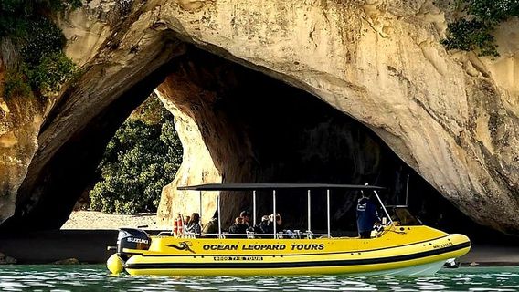 AucklandTours