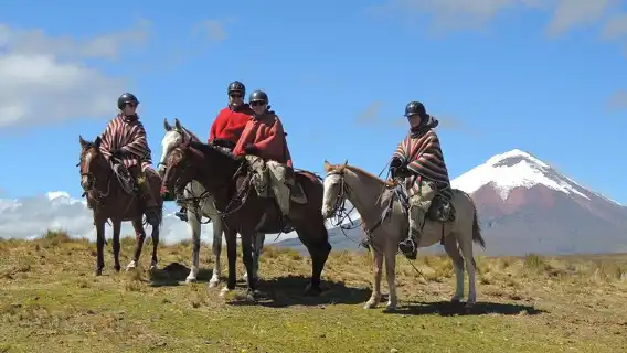 Horseback Riding and Cotopaxi National Park Day Trip