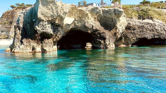 Tropea