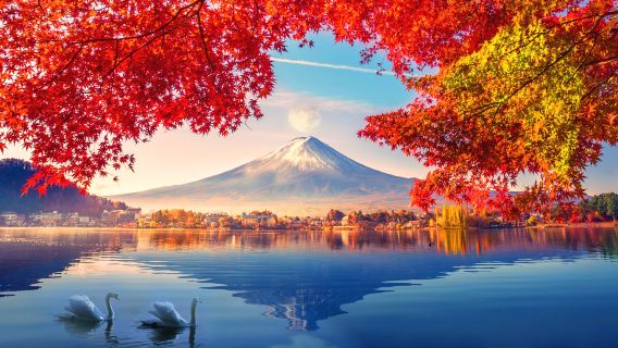 Tokyo Departure: Mount Fuji Private Vehicle Charter with English-Speaking Driver | Customizable Itinerary | Contact Us for Other Destinations (e.g., Hakone, Kamakura, Izu, Nikko, Karuizawa, Hakuba, Tokyo, Yokohama) Mount Fuji Day Tour Trip