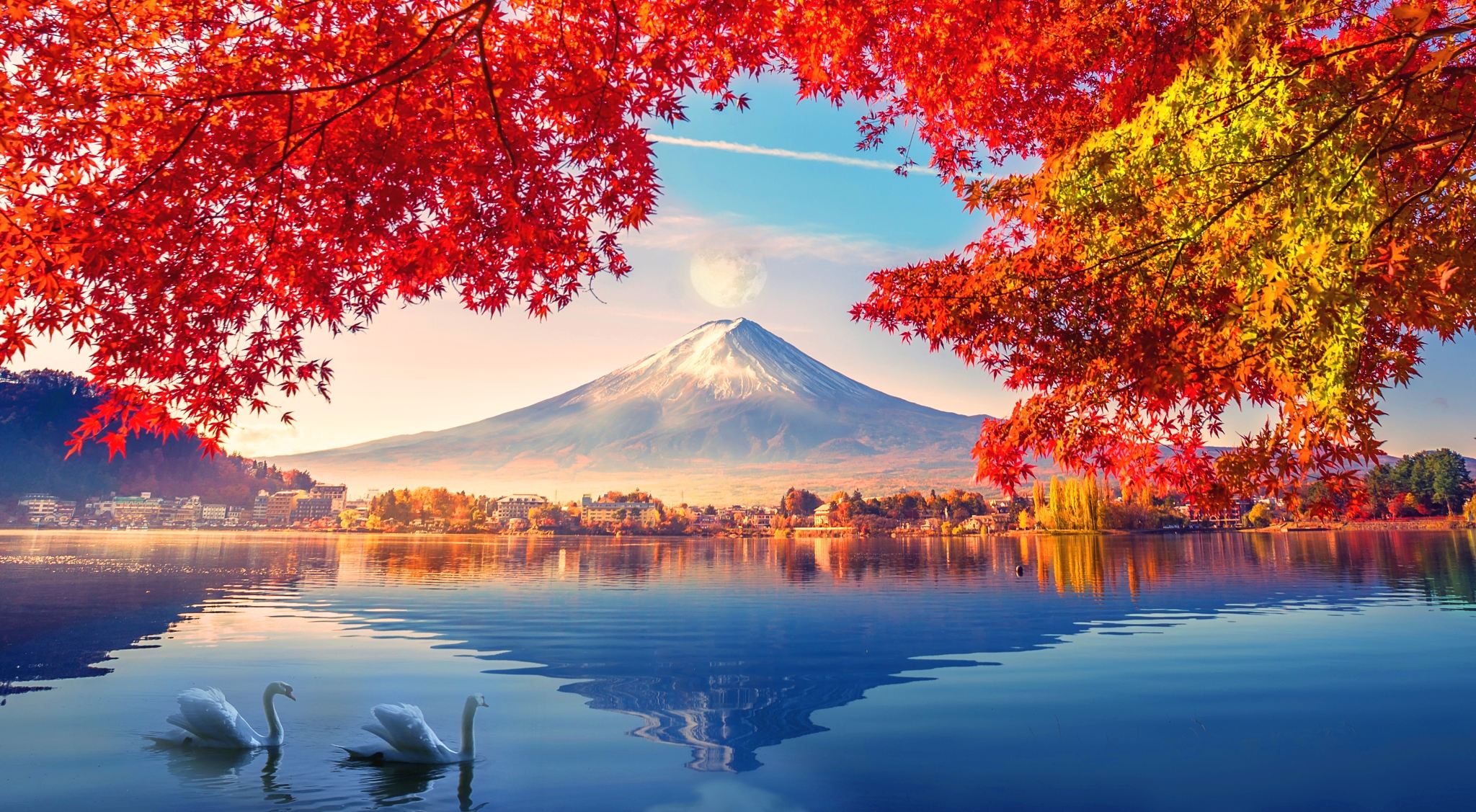 Tokyo Departure: Mt. Fuji Private Vehicle Charter with English-Speaking Driver | Customizable Itinerary | Contact Us for Other Destinations Car Rentals(e.g., Hakone, Kamakura, Izu, Nikko, Karuizawa, Hakuba, Tokyo, Yokohama) Mount Fuji Day Tour Trip