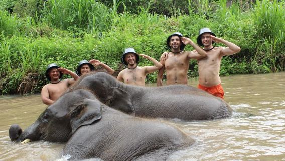 ทัวร์ครึ่งวันหรือทัวร์หนึ่งวัน ที่ปางช้างแม่วางเคอร์ชอร์ อีโค่ เชียงใหม่