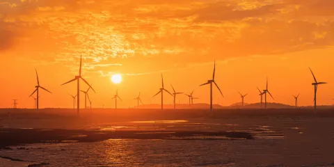 福州平潭島一日遊【品質大團定點接/可8人團/可包車景點任選】