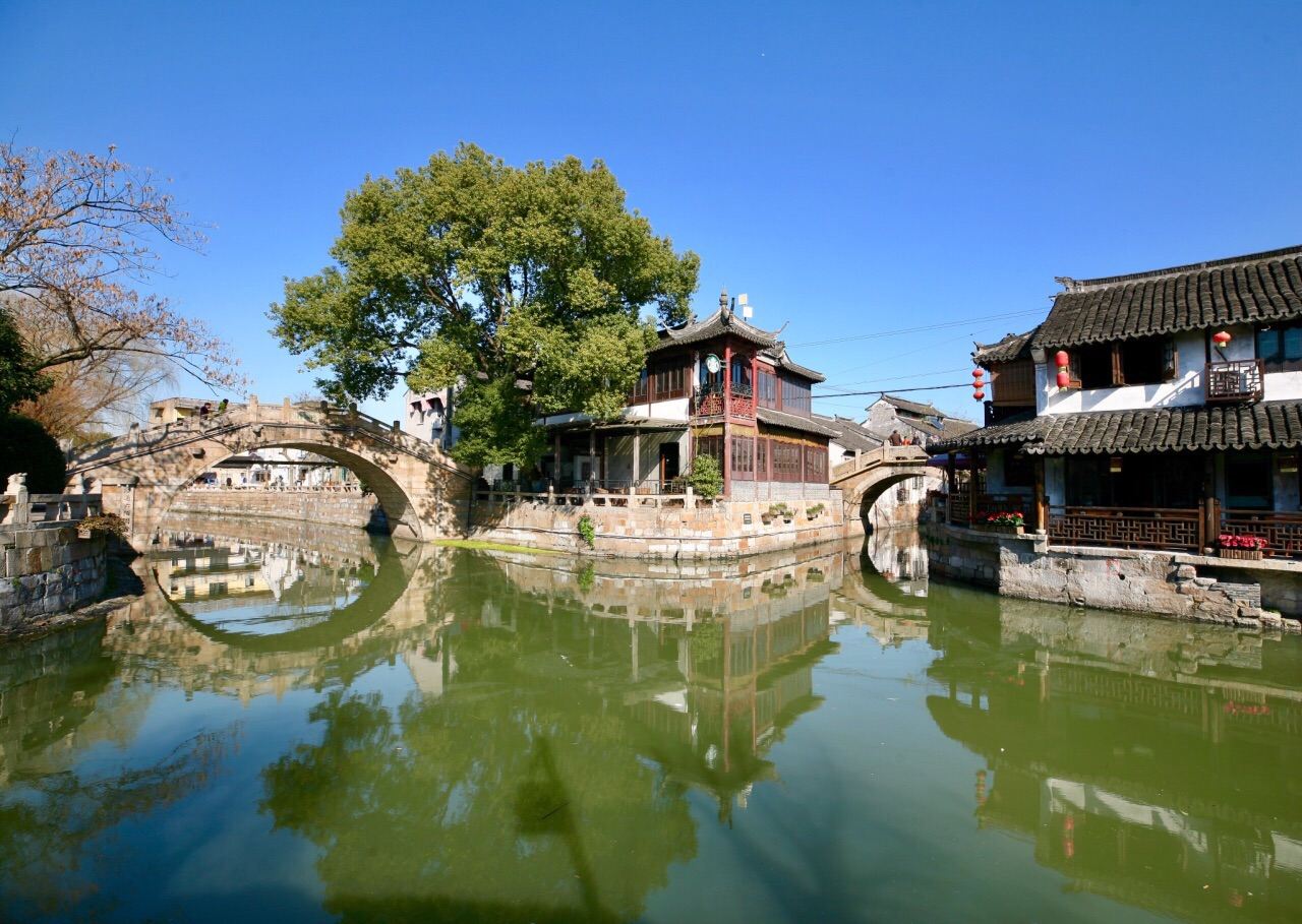 上海プライベートガイド付き日帰りツアー 楓涇古鎮