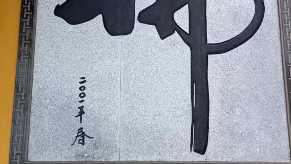 舟山普陀山風景區一日遊【靜心禪行普陀之旅】