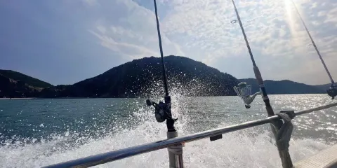 山東煙台芝罘島快艇出海海釣3小時【專業船長教學+提供魚竿魚餌+魚獲免費加工】