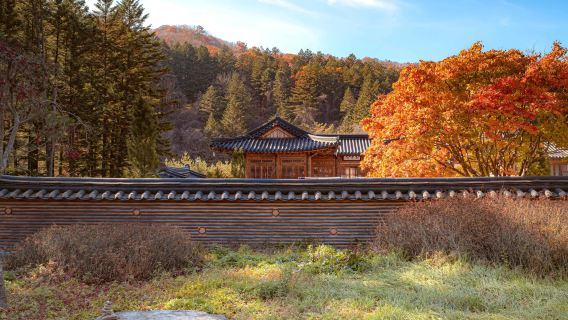 Odaesan National Park Autumn Foliage One Day Tour (K.Drama Goblin film site • Departs from Seoul)