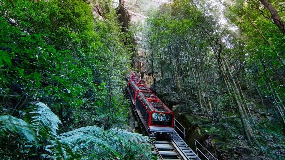 Blue Mountains + Sydney Zoo luxury 1-day tour [includes Blue Mountains cable car + kangaroo feeding experience]