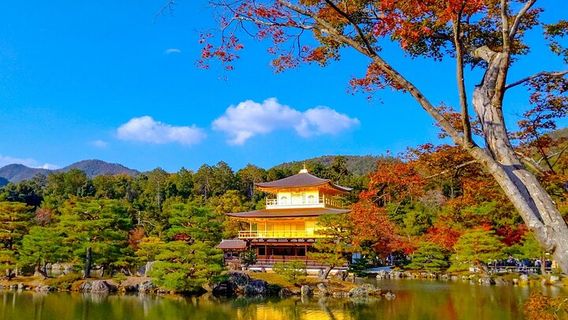 ToyookaTours