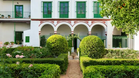 Palácio Bucarelli: Ingresso