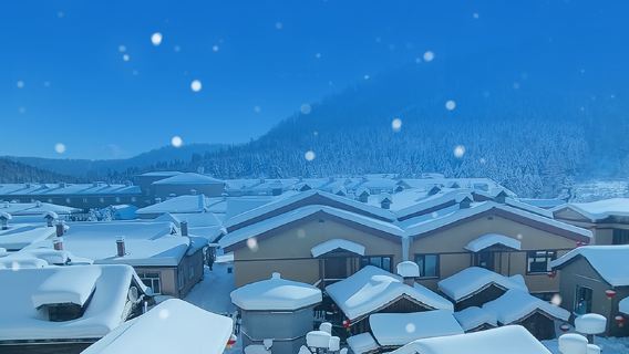 哈爾濱+亞布力滑雪+中國雪鄉【③日團◆純玩無購物◆暢玩冰雪】