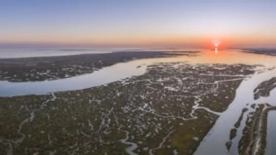 Ria Formosa speed boat tour from Faro
