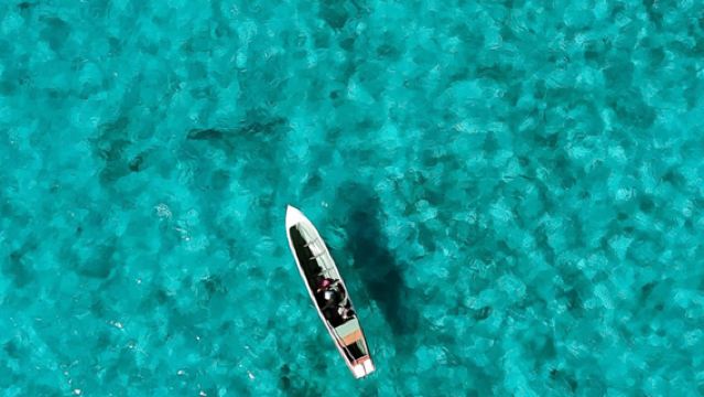 Lawatan sehari ke Mantanani Islands [ARUNAVA|Boleh dipadankan dengan KAWA Mangrove