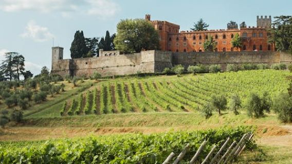 Small Group Chianti Wine Tour from Siena with Lunch