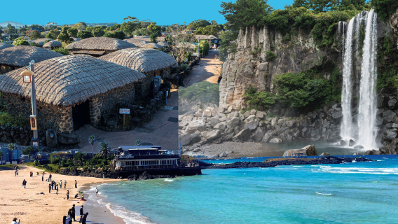 Jeju one-day tour : Visit Seongsan Ilchulbong and other highlights