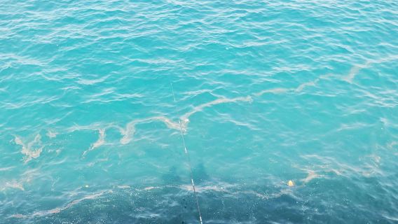 Lawatan Audio Kendiri Pas Ketibaan Beirut