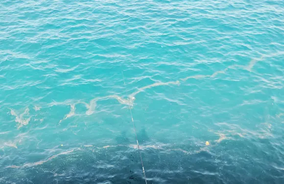 貝魯特抵達通行證自助語音導覽