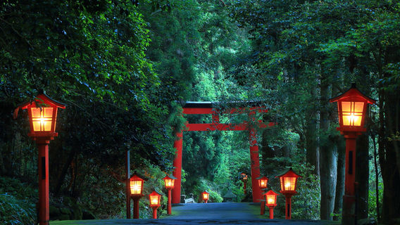 NarusawaTours