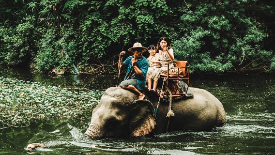 PattayaTours