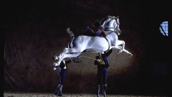 Royal Andalusian School of Equestrian Art: Andalusian Horse Show