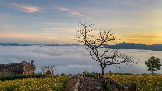 Bus couchette de luxe Hô-Chi-Minh-Ville - Dalat aller/retour