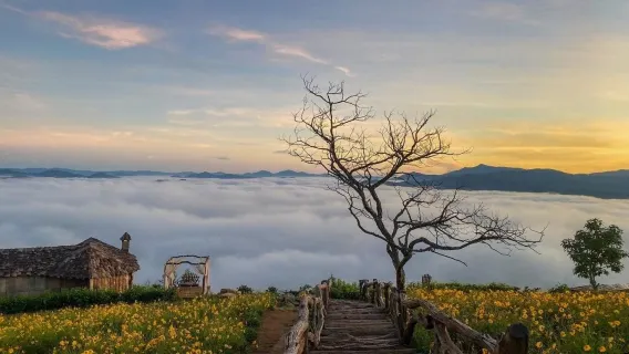 Ho Chi Minh - Da Lat and ritorno in bus con cuccette di lusso