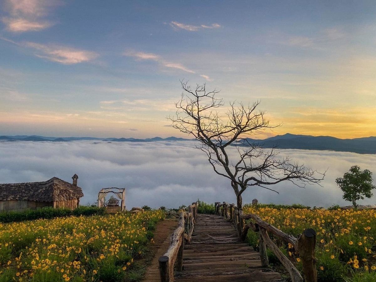 Ho Chi Minh City - Da Lat Sleeper Bus: One-way/ Round-trip