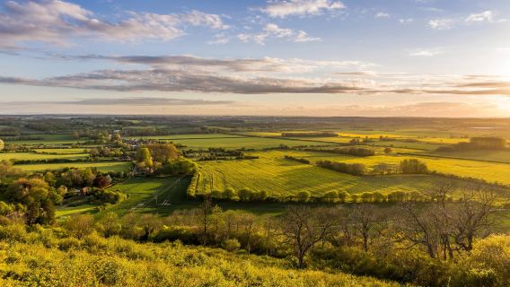 one-day tour of Canterbury, Dover White Cliffs and Dover Castle|Castle admission ticket included|Small group