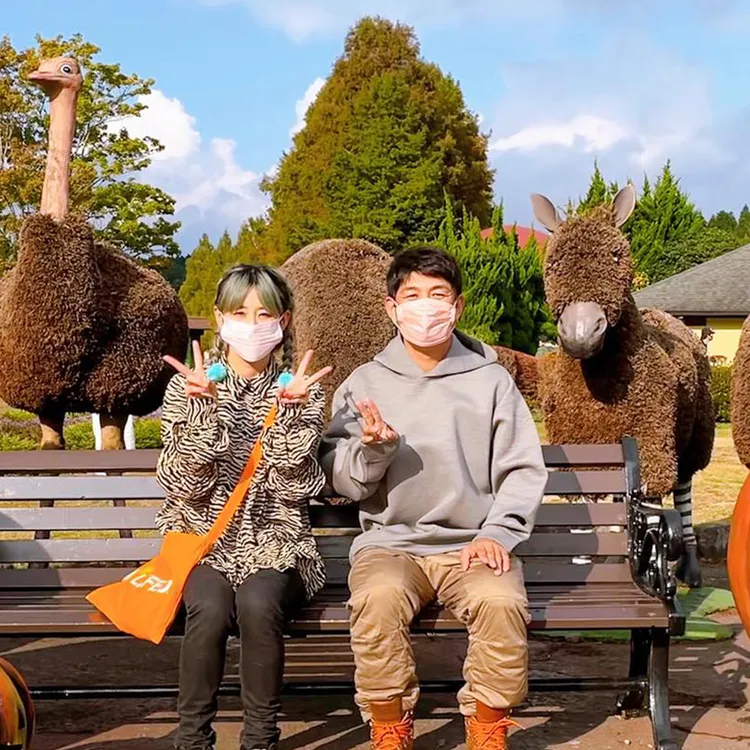 1-day tour to Kyushu Wildlife Park African Safari in Oita, Japan