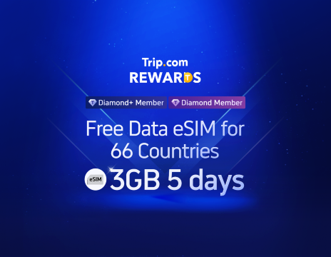 全球（77國）5G/4G eSIM | 支援 Google Maps/TikTok/ChatGPT | 總量型方案 | 24小時計費 | 5天 | QR Code