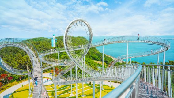 Pohang Space Walk X Lakeside Park Cherry Blossom Viewing | Departing from Busan