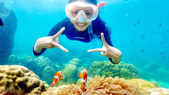 Excursión de snorkel en Pattaya: Buscando a Nemo