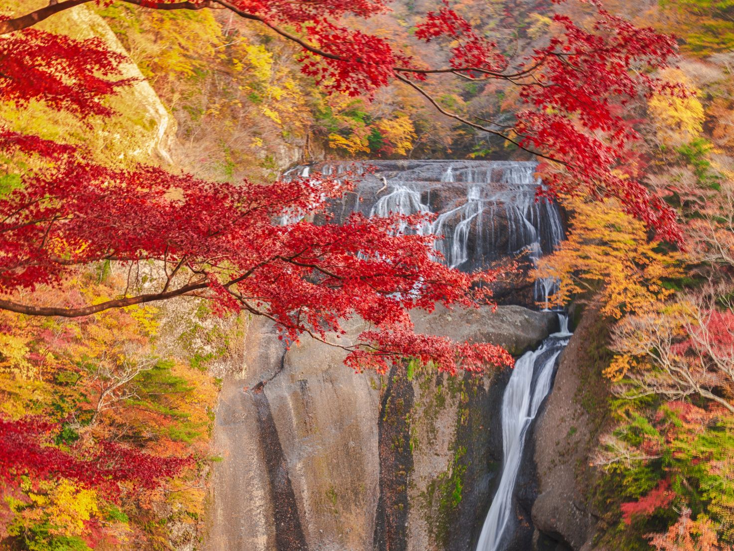 Tokyo | Autumn Special ] Hitachi Seaside Park, Fukuroda Falls and