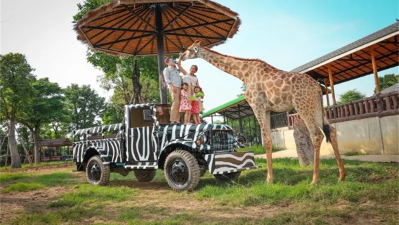Privattour: Tagesausflug zum Ayutthaya Lion King Zoo in Thailand