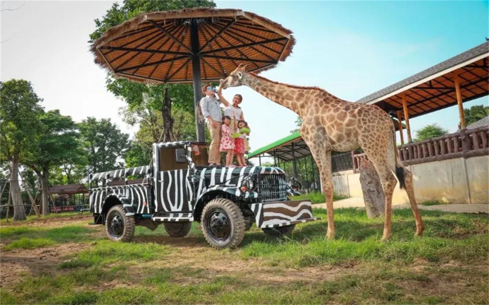 태국 스리아유타야 라이언 파크 당일 치기 여행 [프라이빗 투어]