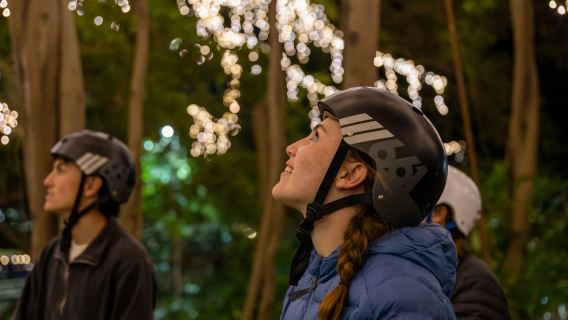 Brisbane: Recorridos turísticos de 2,5 horas (mañana y noche)