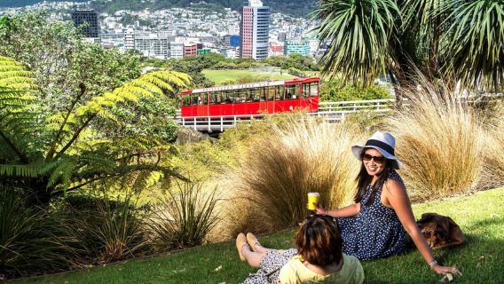 Wellington: Tur Berpemandu dari Gua ke Pantai
