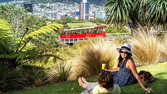 Wellington: Tour guiado por los lugares destacados de la ciudad a la costa