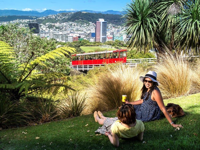 Wellington: Cave to Coast Highlights Guided Tour