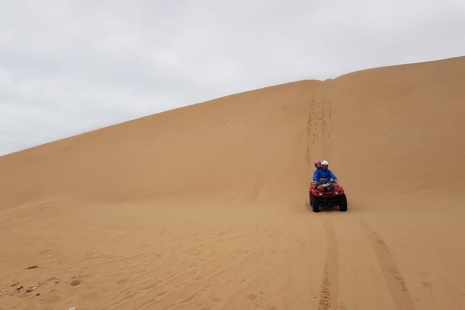 Essaouira P3 : Tour en quad forêt plage dunes (transfert gratuit)